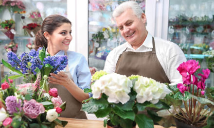 small business optimism