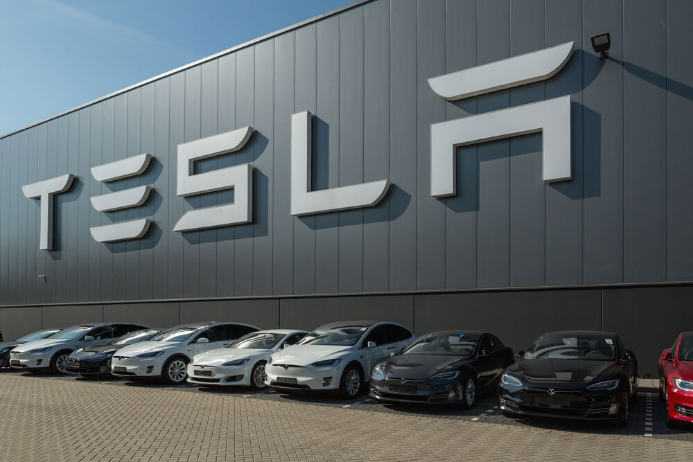 New Tesla Chair Must Rein in CEO Musk at Key Moment; Shares Surge