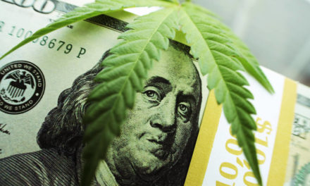 cannabis stocks