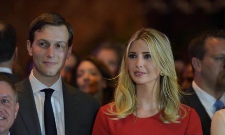 Kushner-green card-border wall-shutdown