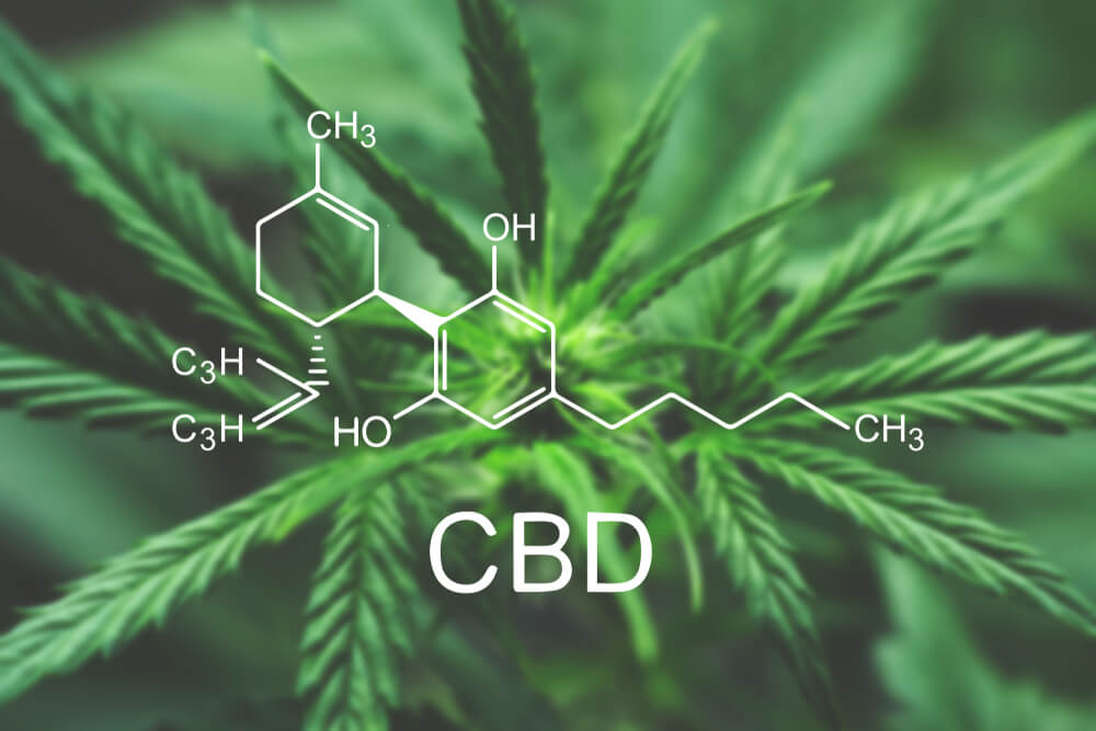 Brodrick: Chart Shows Why CBD Use, Cannabis Stocks Are Soaring
