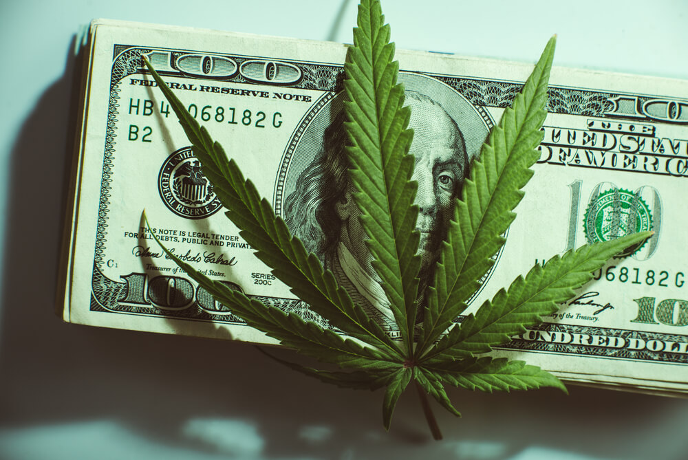 Brodrick: A Monster Cannabis Rally Worth Playing