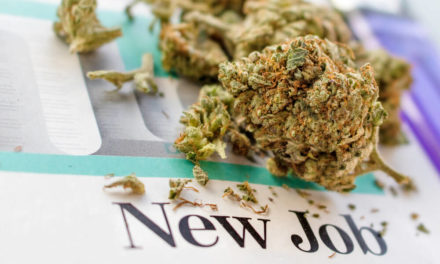 cannabis