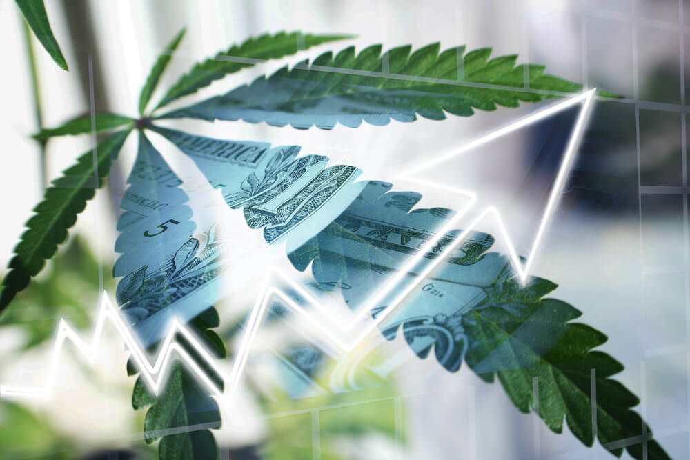 Brodrick: Move Over, Denver. America’s New Cannabis Capital is …
