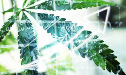 cannabis cannabis ETF MSOS YOLO MJ cannabis REIT