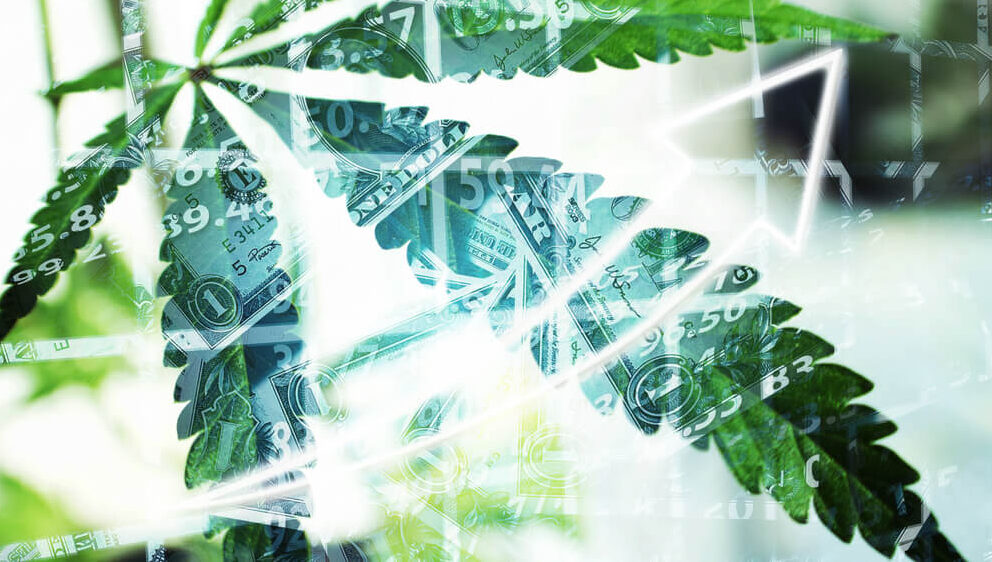 Brodrick: Cannabis Stocks Coiling up Like a Spring. Get Ready for the Boom!