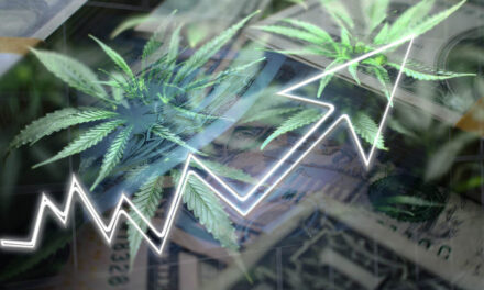 cannabis Marijuana Market Update cannabis watchlist GRWG PLNHF TPB SMG cannabis IPOs cannabis ETF BUDX Verano VRNOF cannabis stocks SWM SOLCF TLLTF