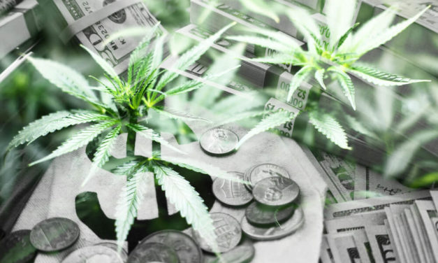 5 Years In, Washington Eyeing New Cannabis Regulation to Help the Little Guy