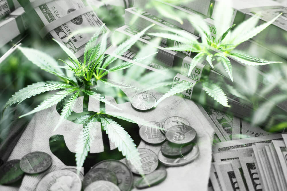 5 Years In, Washington Eyeing New Cannabis Regulation to Help the Little Guy