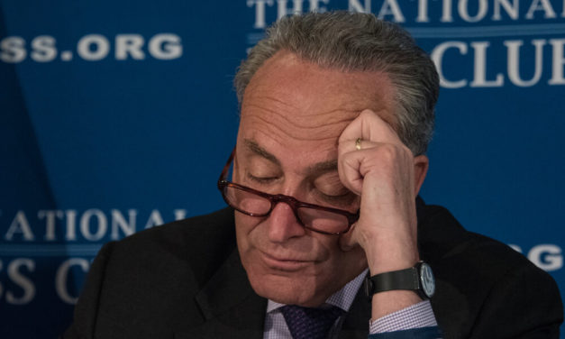 Wall Street Dems Snub Schumer’s Senate Fundraising Efforts Over Warren