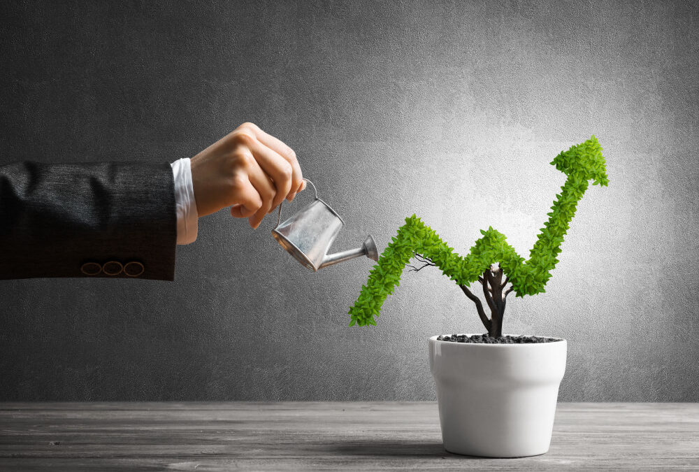 Dividend Compounding: The Eighth Wonder of the World