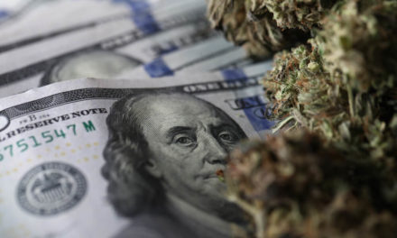 cannabis legalization High Tide stock HITIF cannabis taxes