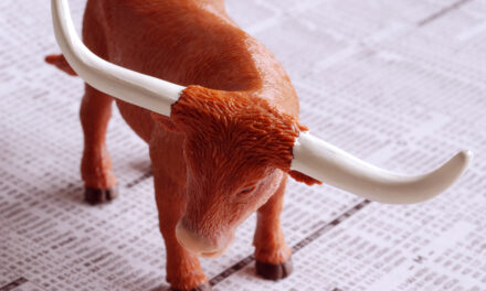 momentum investing bull