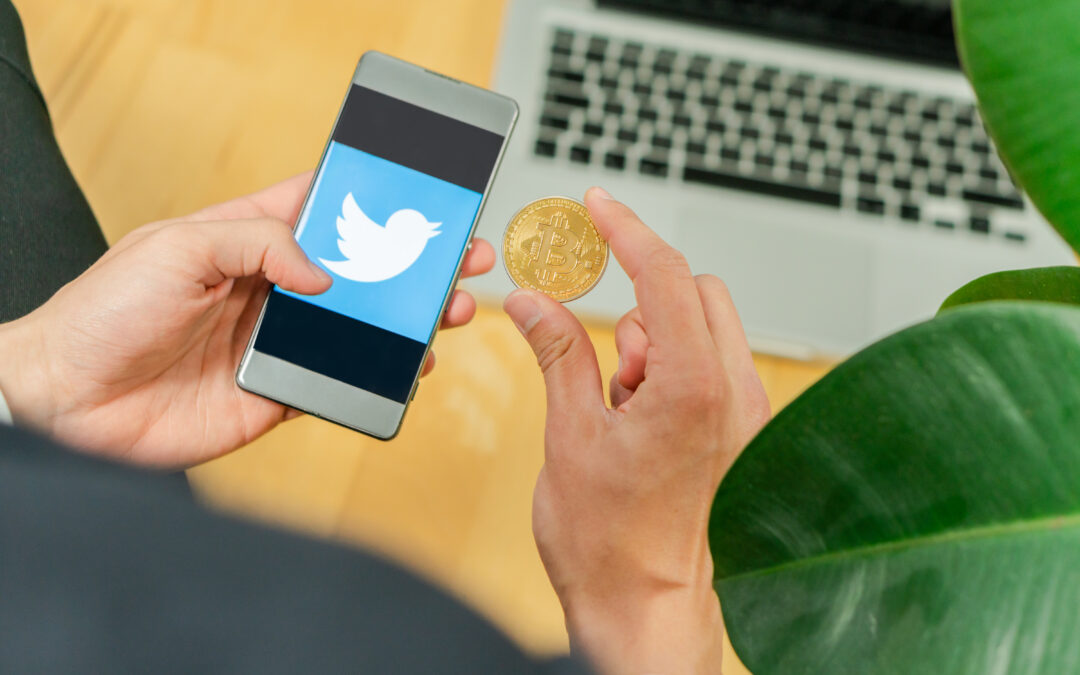 Best Stock Advice of 2020: TWTR, AAN, ALXN, YOLO