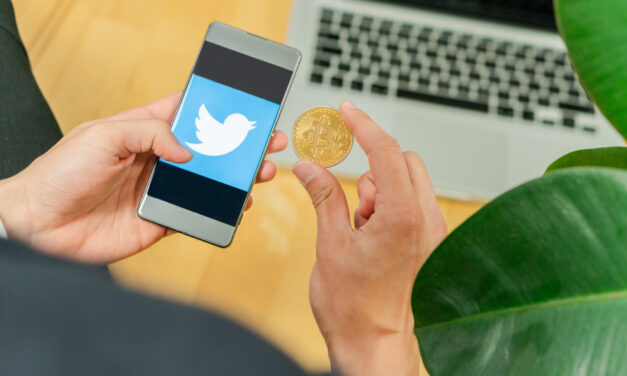 Best Stock Advice of 2020: TWTR, AAN, ALXN, YOLO