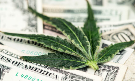 planet 13 cannabis stocks ACB CGC GRWG SMG