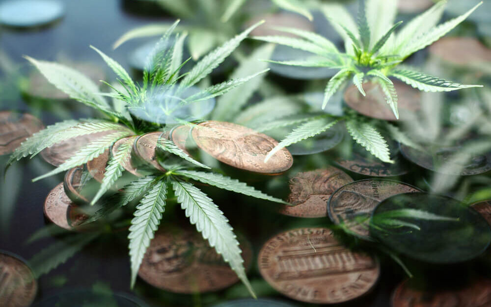 High Tide Analysis + Our Top Rated Cannabis Stock