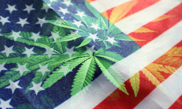 Legal Cannabis Market’s Explosive Growth — Watch These States