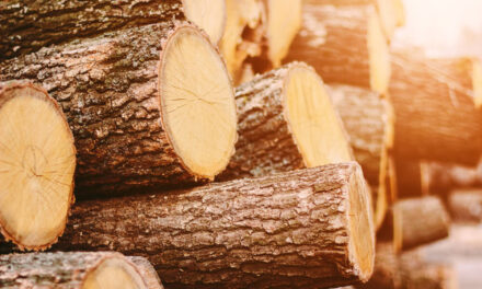 Weyerhaeuser stock dividend to buy