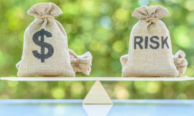 Bear Market Tool Kit: Do You NEED Portfolio Insurance?