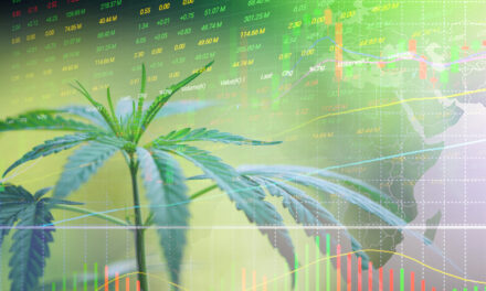 cannabis stock