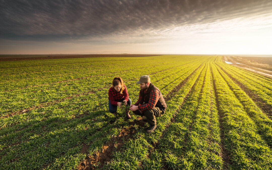 Massive Growth Ahead for Top-Tier Fertilizer Stock