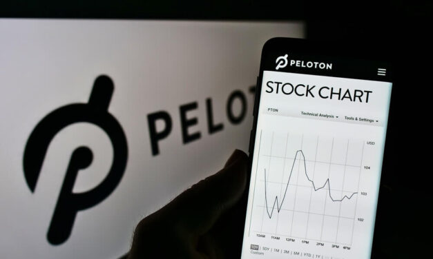 Pandemic Darling Stocks Face a Brutal Reckoning
