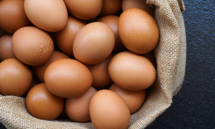 eggs egg stock CALM