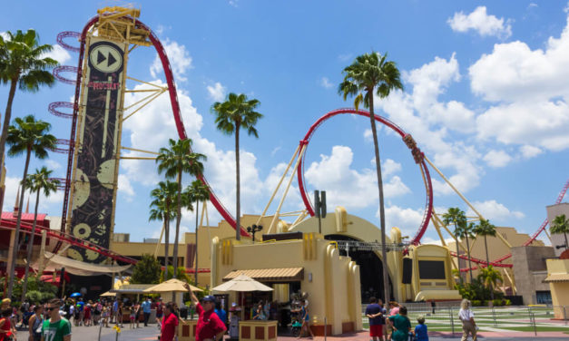 Don’t Get Taken For A Ride This Summer At The Theme Park