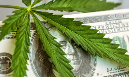 Canada marijuana Maine cannabis legalization IM Cannabis