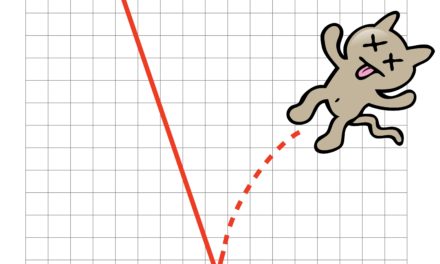 stock market bounce