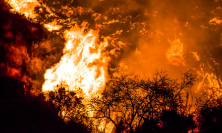 PG&E-bankruptcy-Williams