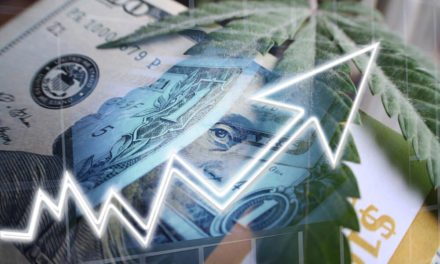 New Jersey cannabis Marijuana Markets Update