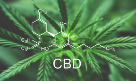 CBD-cannabis