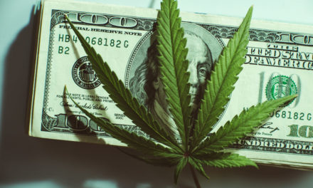 cannabis legalization