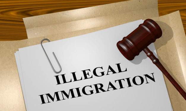 ‘Necessity’: Illegal Immigrants Push for License to Drive in US