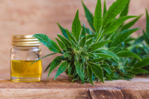 cannabis-CBD