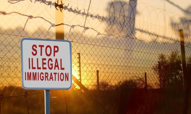 Border Control Council President: Trump’s Mexico Tariffs Deserve Support