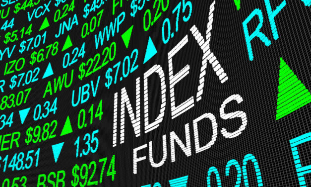 Sustainable Fund? Index Fund? More Investors Choose Both