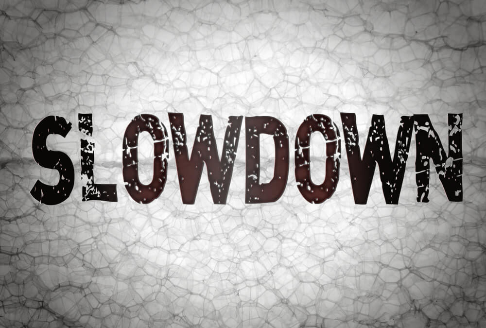 US Business Economists See Slower Economic Growth and Profits Ahead