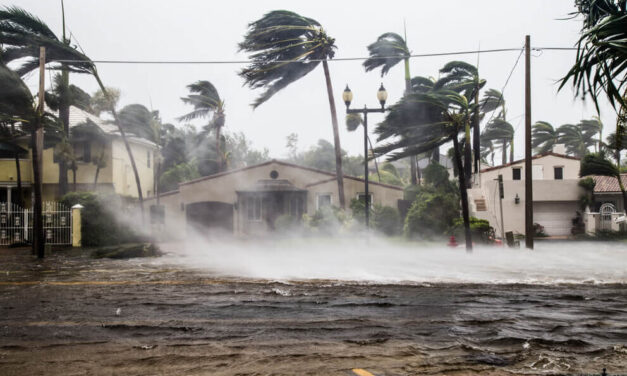 As Another Storm Approaches, Consider One Top-Tier Insurance Stock