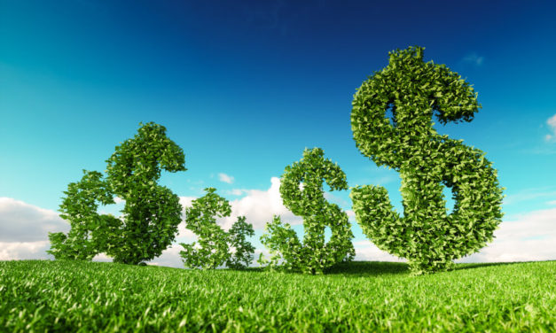 Dem Hopefuls Want to Fight Climate Change to the Tune of $1T to $10T