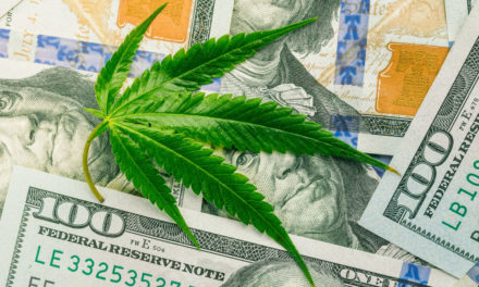 Marijuana Market Update cannabis earnings Avant Brands AVTBF