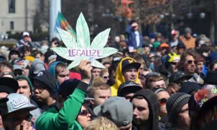 cannabis legal states