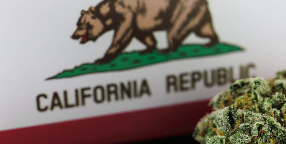 Subversive Capital Acquisition: Largest Cannabis SPAC a Buy?