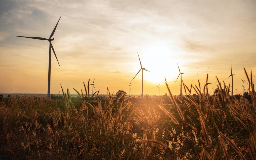 Monumental Renewable Energy Shift (Buy-and-Hold One Wind ETF)