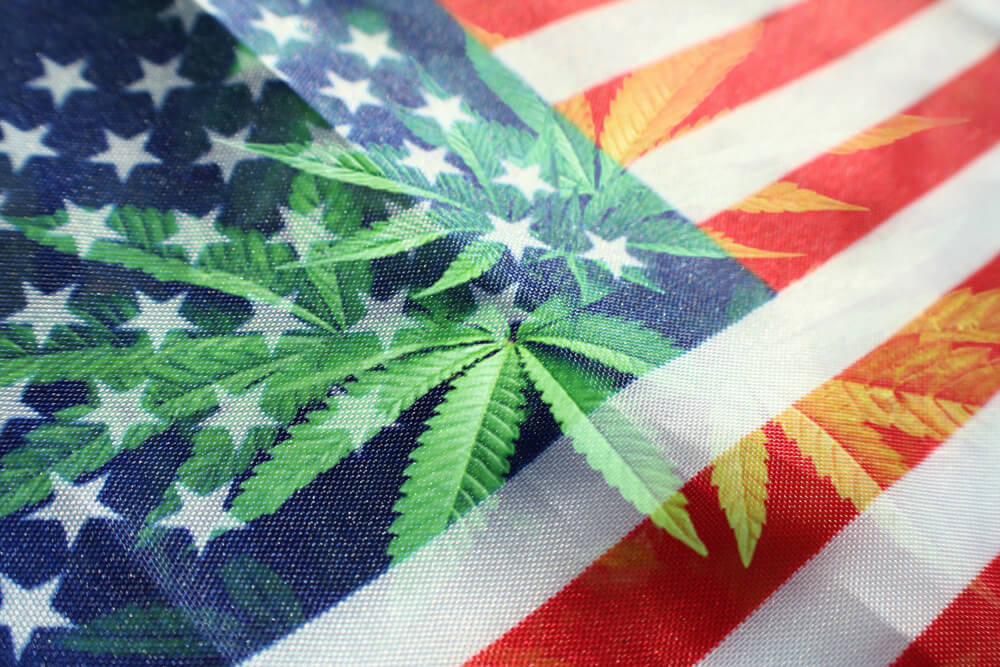 Cannabis Companies Need Florida Legalization … Here’s Why