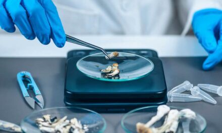 psychedelic stocks pros and cons