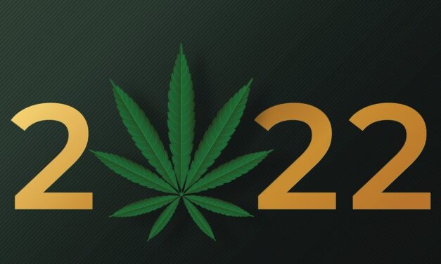 My Bold Cannabis Prediction for 2022 + PLNHF Stock Analysis
