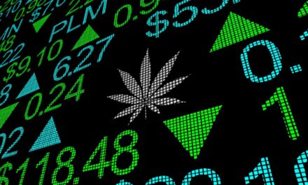 cannabis stocks